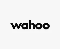 Logo-wahoo_20_11zon